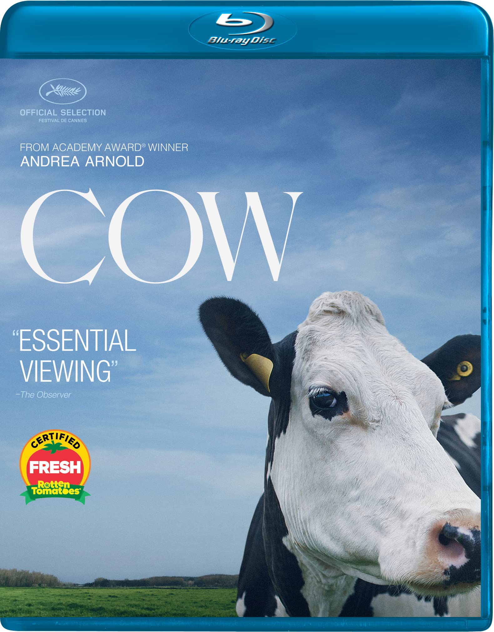 Cow en Blu-ray para una tarde de cine de autor independiente americano en casa