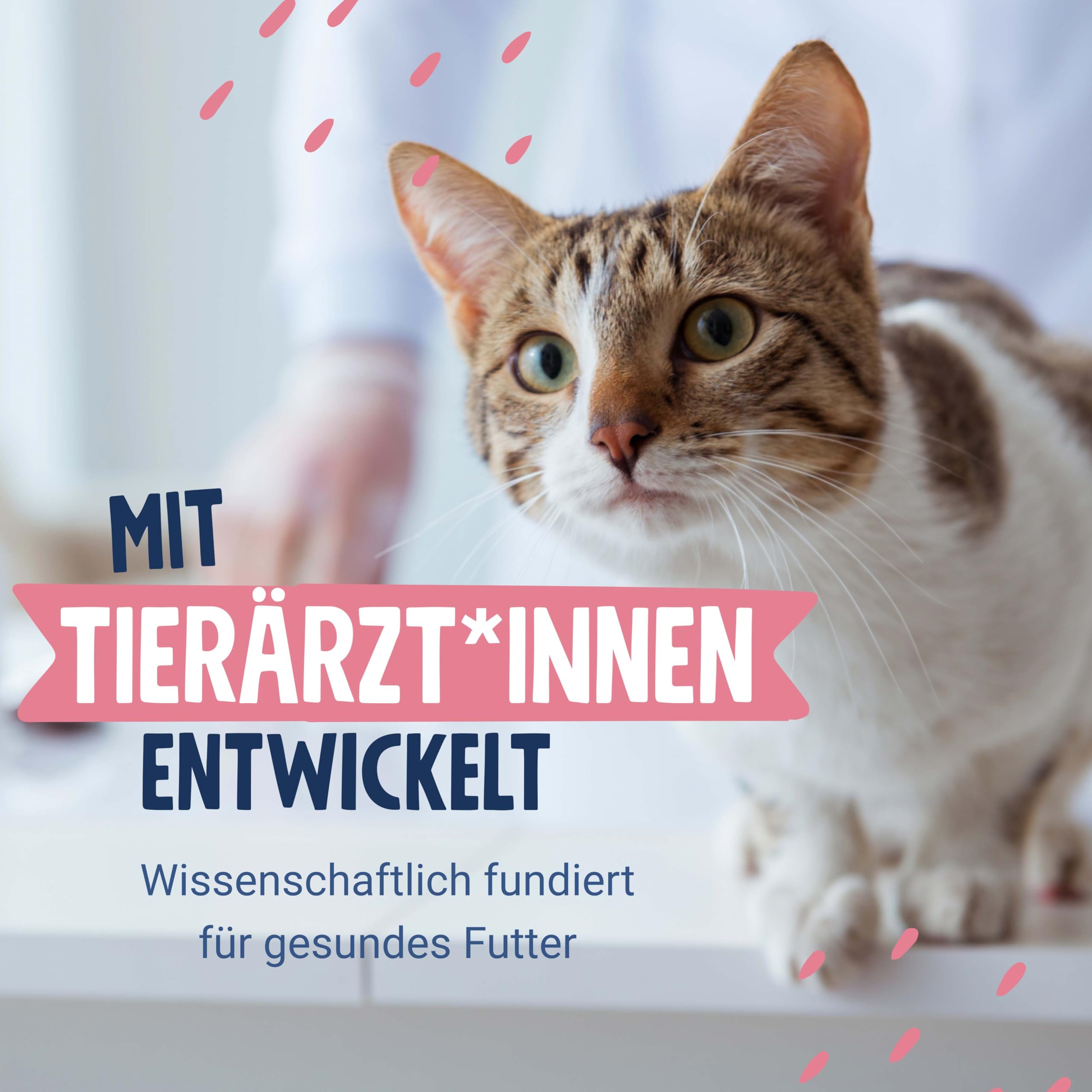 Pets Deli Cremesnack Katzen Snack Thunfisch & Jakobsmuschel, Topping & Belohnung, für wählerische Katzen, getreidefrei, Ohne Zucker, 8x90g, Premium Qualität