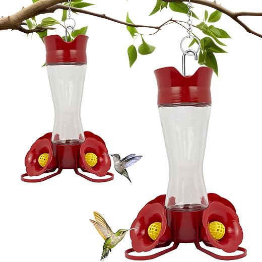 Perky-Pet 203CPBN-2 Pinch-Waist Glass Hummingbird Feeder with Perches, Built-in Ant Moat and Bee Guards - Outdoor Garden Décor - 2 Pack