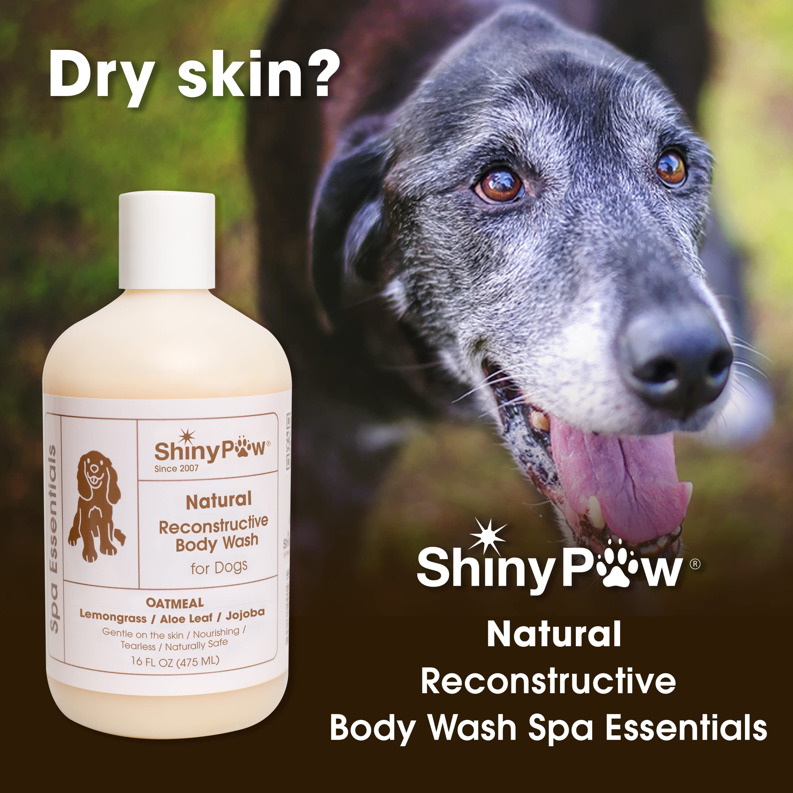 Can You Wash Dogs With Human Body Wash