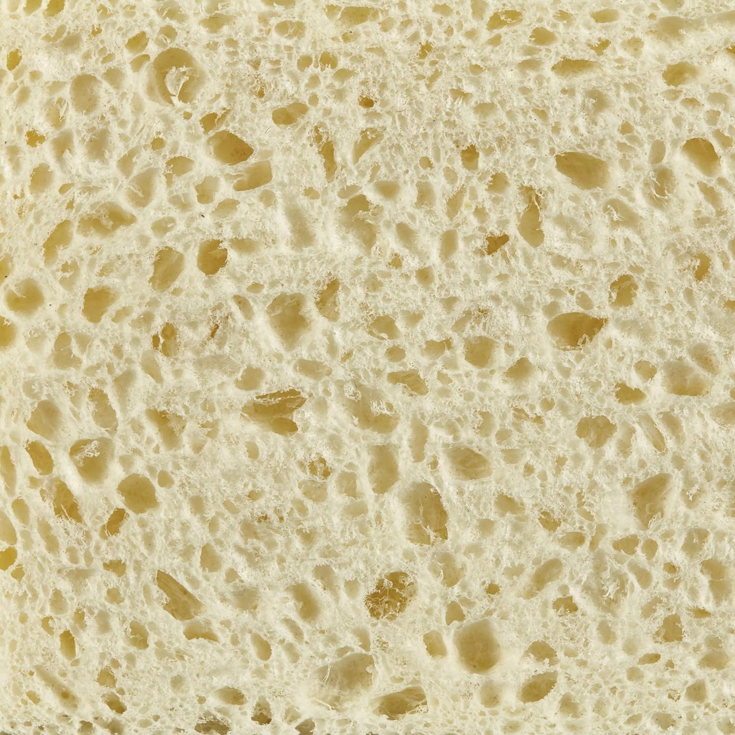 SPONTEX - 28 Schwämme (14 Packungen mit je 2 Stück) pflanzlich ohne Farbstoffe – Verpackung mit 85% recyceltem Kunststoff – absorbiert 20 x Sein Trockengewicht – 100% pflanzlich – ohne Farbstoffe