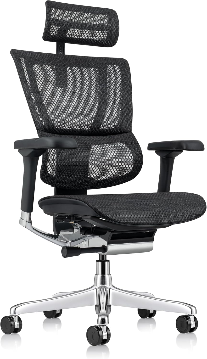 Raynor Ergohuman GEN2 Office Chair