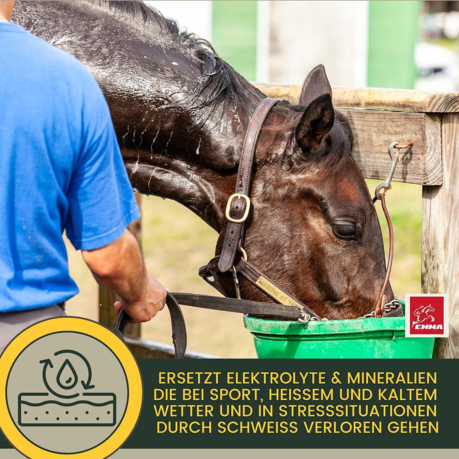 EMMA Pasta de electrolitos para caballos, 2 × 30 ml, potenciador de electrolitos con complejo de vitamina B, magnesio, potasio, sodio y calcio, para sudoración, diarrea, agua fecal, deportes y