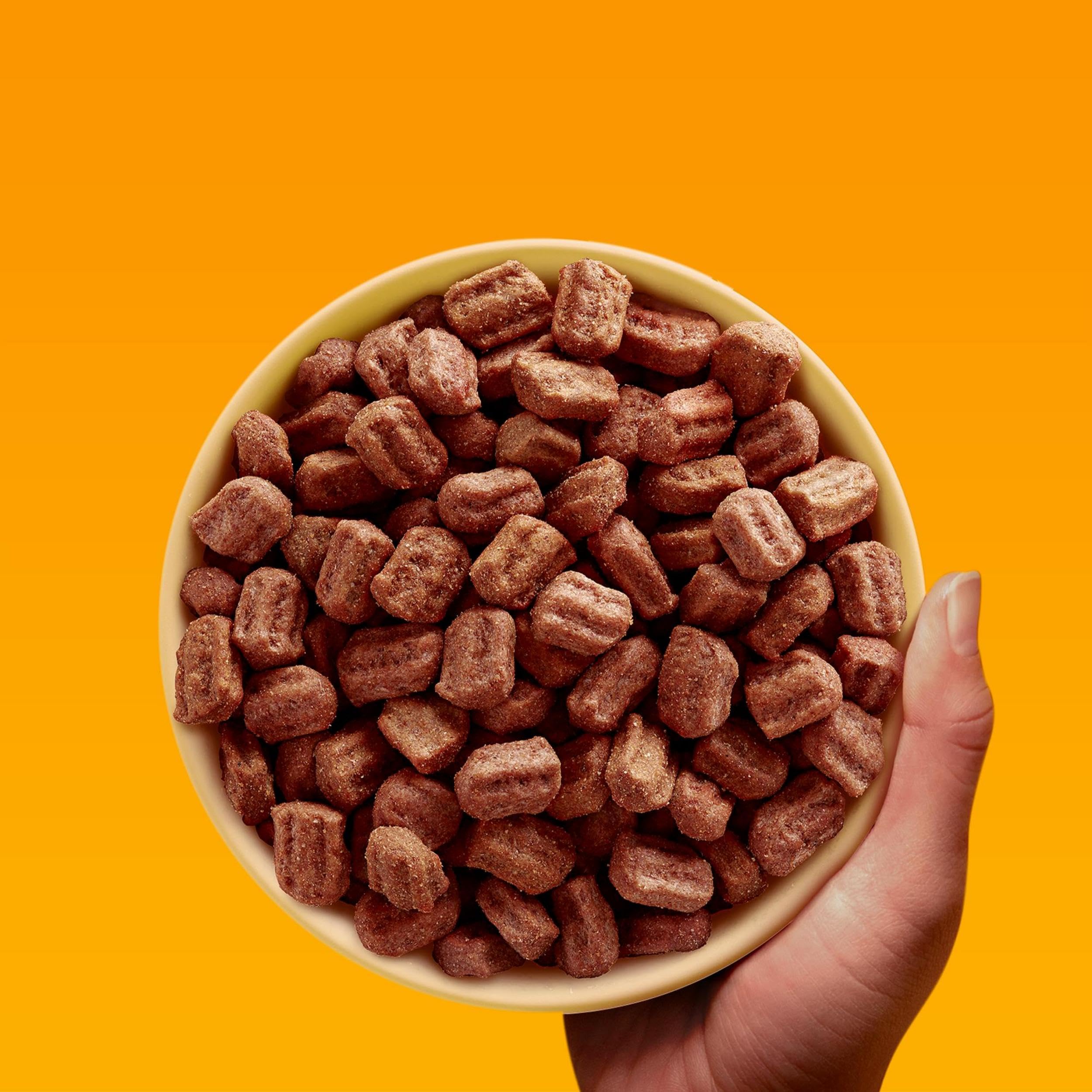 Pedigree Complete Senior Hundetrockenfutter mit Geflügel & Gemüse 3 x 3kg
