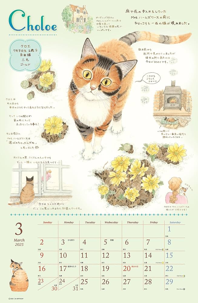 Amazon.co.jp: 2025ナーゴの猫たちカレンダー（壁掛け）猫