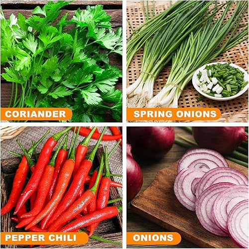 Miniatura 4 de 2 tijeras de hierbas, cortador de hierbas con 5 cuchillas y cubierta, tijeras de cocina para cortar, cortar y cocinar