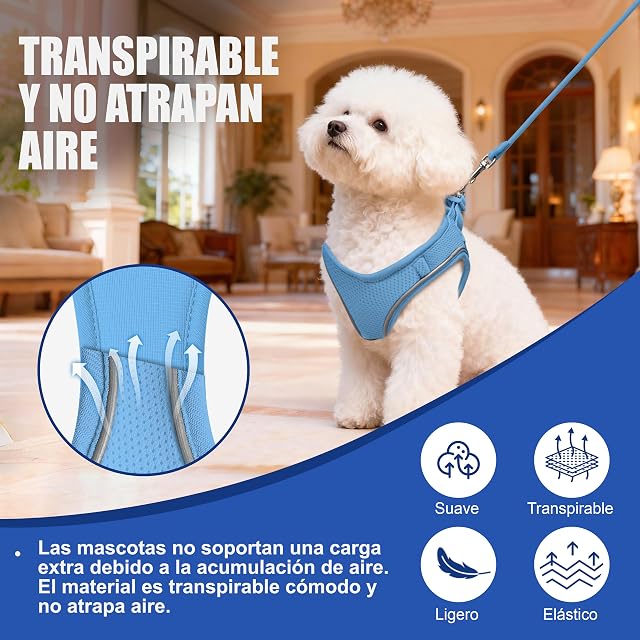 Foto 3 de 7 de Arnés para Gatos con Correa 255cm S (Pecho 39-47cm) Azul