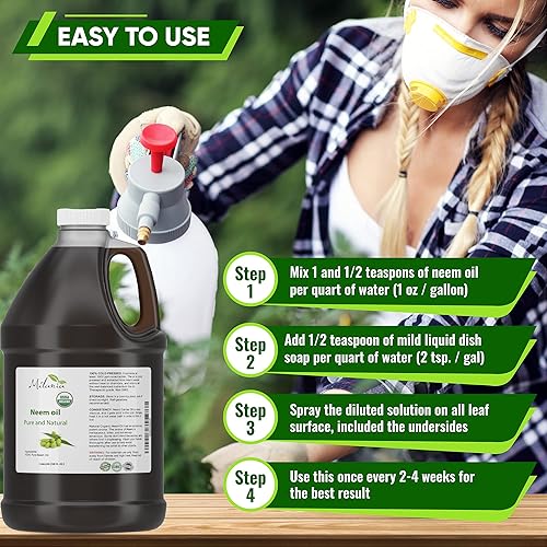 Miniatura 23 de MILANIA Aceite de neem orgánico prémium virgen (16 onzas líquidas), prensado en frío, sin refinar, 100% puro grado natural A. Excelente calidad.