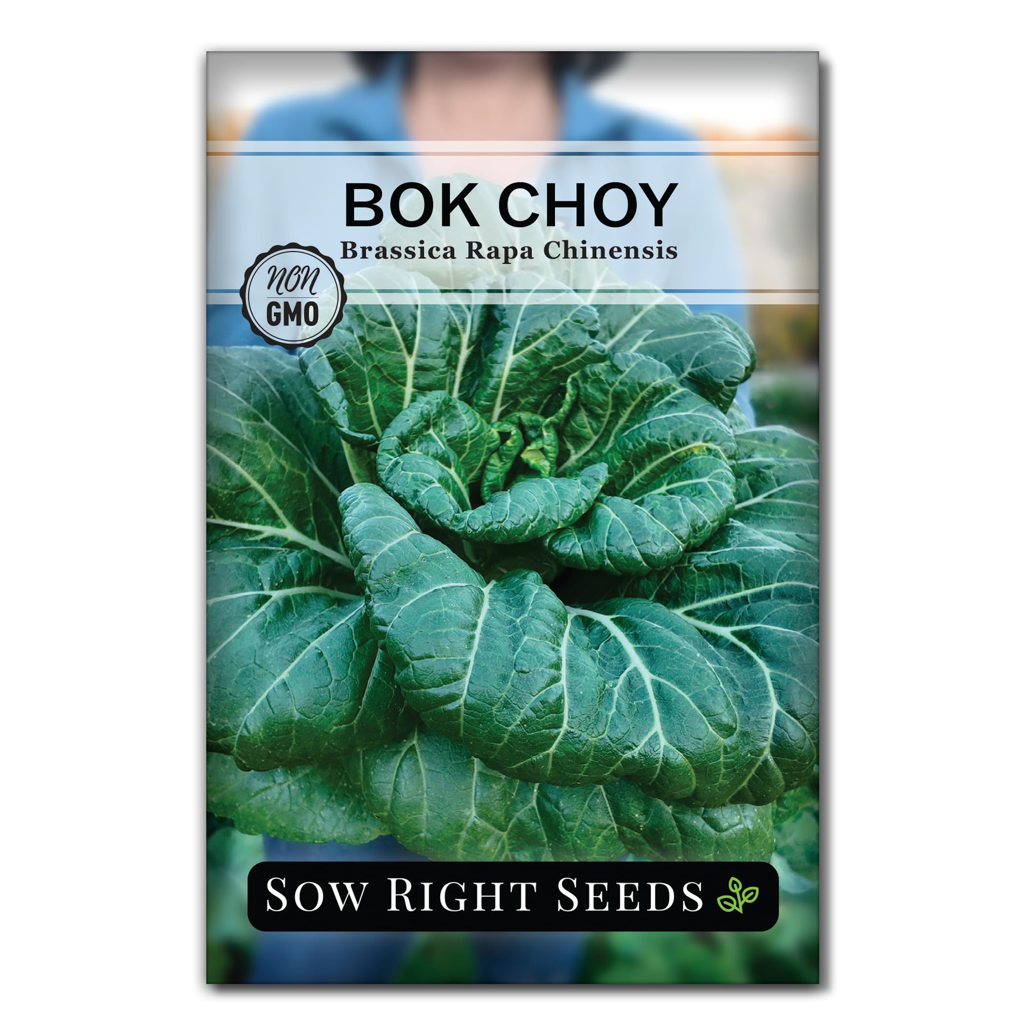 Sow Right Seeds - Bok Choy Seeds for Planting - Pak Choi or Chinese Cabbage - Non-GMO Heirloom Variety - Fresh Asian Greens in Your Home Vegetable Garden - Grow Outdoors or Indoors in Hydroponics (1)