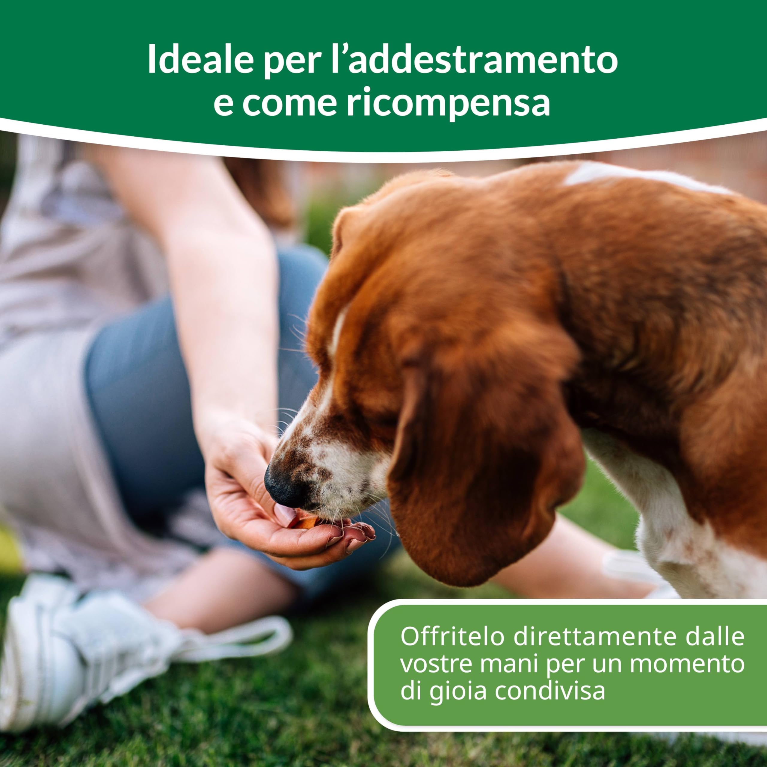 INABA Churu Bites Snack per Cani, Bocconcini di Pollo con Cuore di Pollo - 8 Pack (64 Stick x 12gr) - Premietti per Cane Morbidi e Deliziosi - Cibo per Cani Senza Conservanti o Coloranti Artificiali
