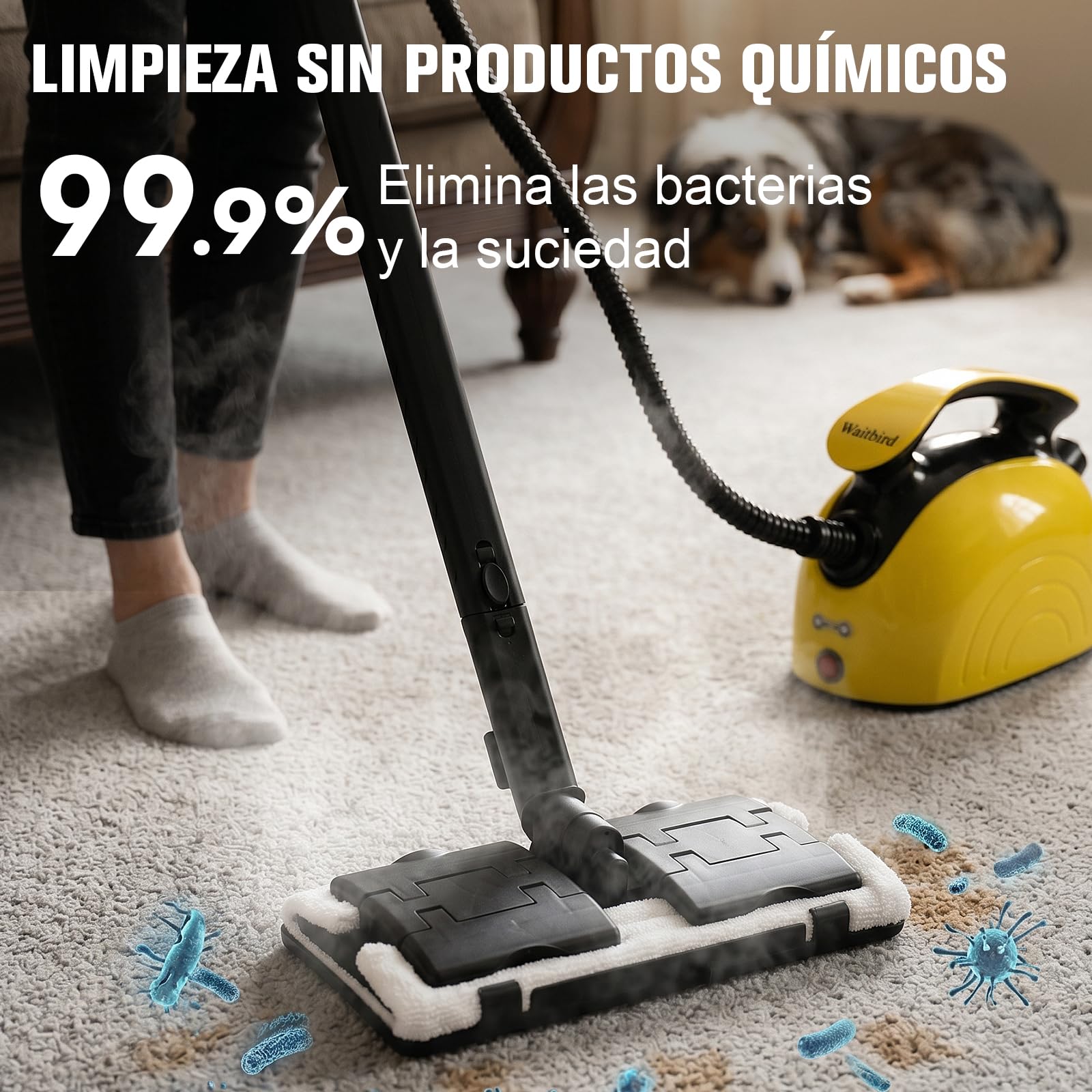 Waitbird Limpiador de vapor de mano para el hogar, 4,5 bar, 120 °C, vapor caliente, 1500 W | 21 accesorios | Sin productos químicos para suelo, coche, pared, juntas, cocina y baño | doble bloqueo de seguridad