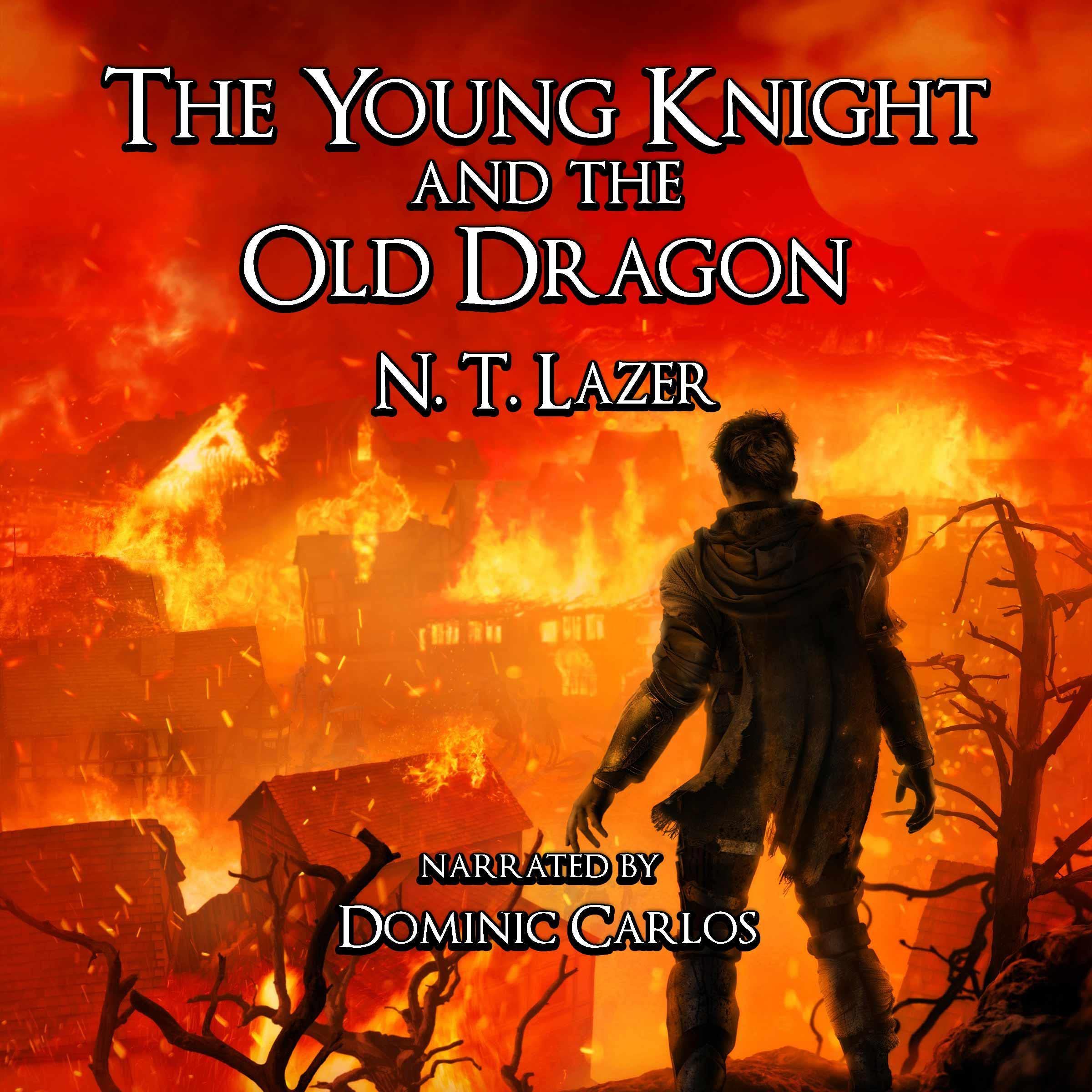 Cover art for The Young Knight and the Old Dragon