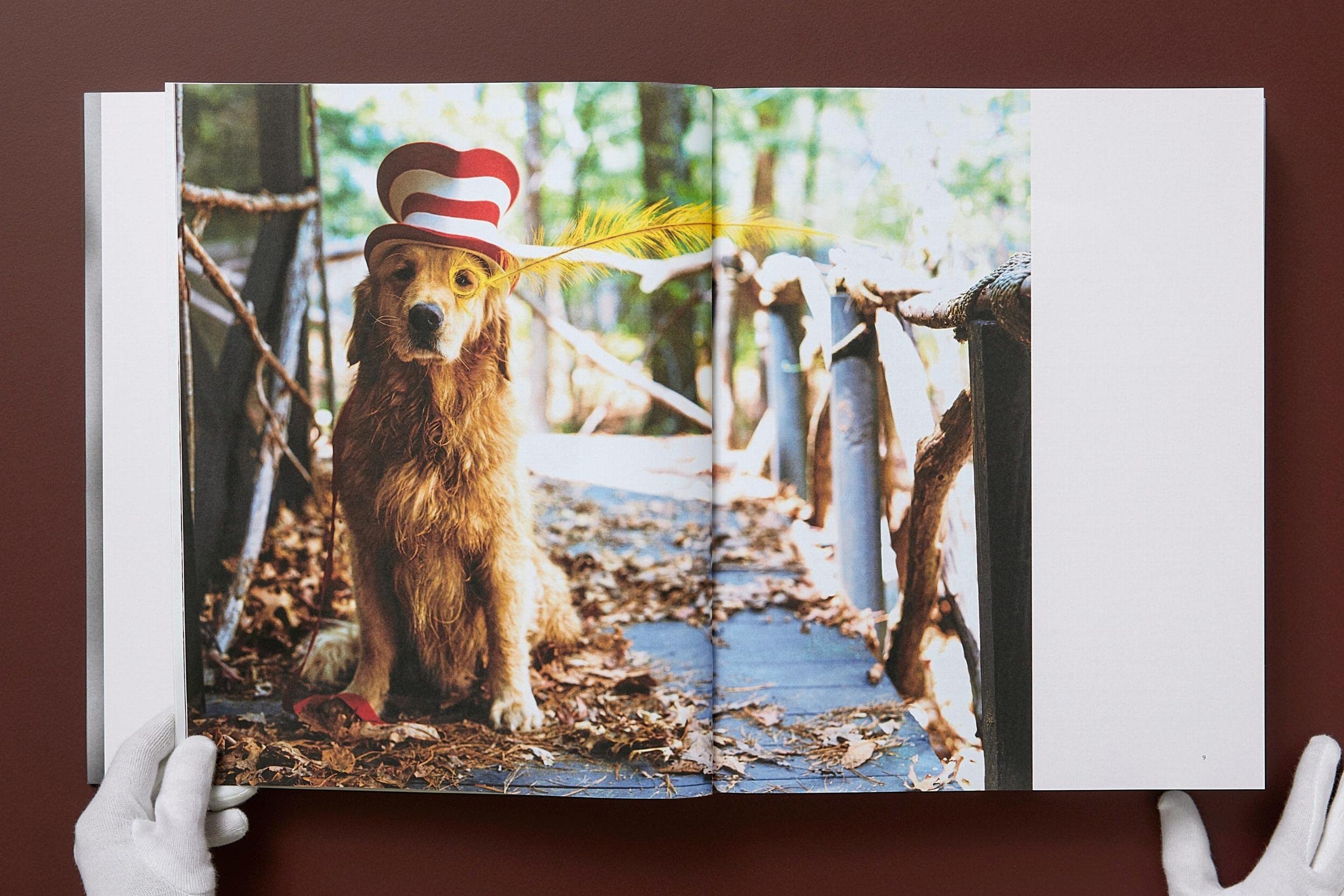 Bruce Weber: The Golden Retriever Photographic Society