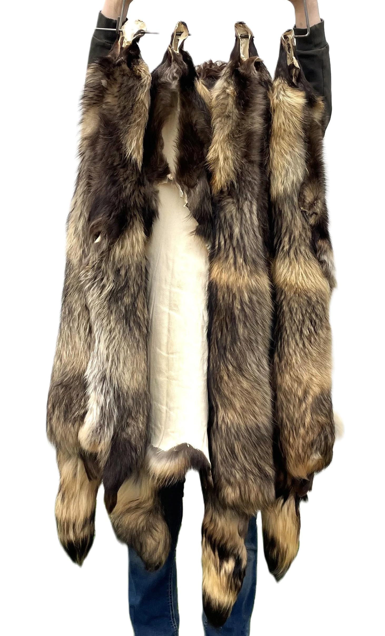 Amazon.com: Dakotaline Furs Real Genuine Finn Raccoon Dog
