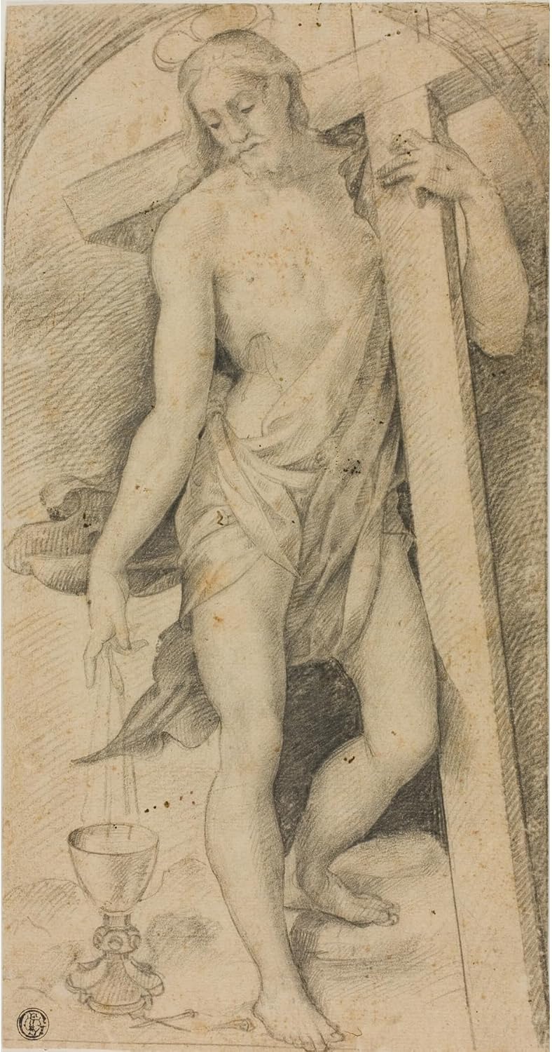 ArtDirect Christ with the Cross (c. 1530) Unframed Art Print Giclee Poster by Circle of Rosso Fiorentino - Ready for Framing with Customization Sizes 5x10, 7x14, 10x20, 19x36, 25x48 and 31x60 inches