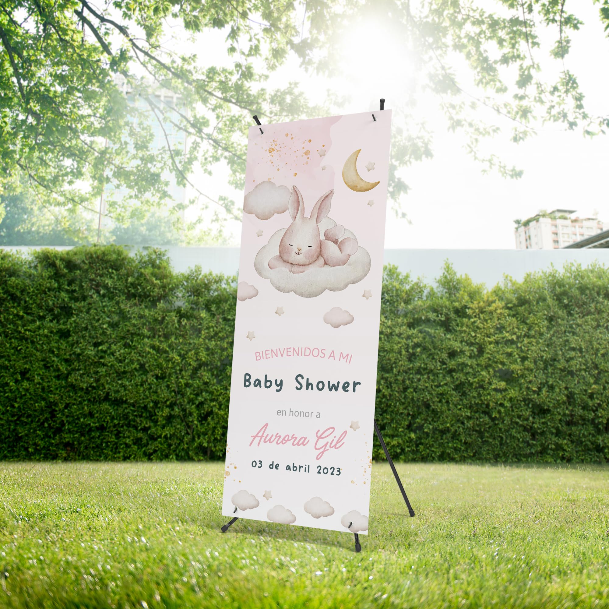 Decoración Baby Shower Niña y Niño | Photocall con Fecha y Nombre del Futuro Bebé Personalizables - Fiesta de Revelacion Sexo Bebe (Modelo 2)