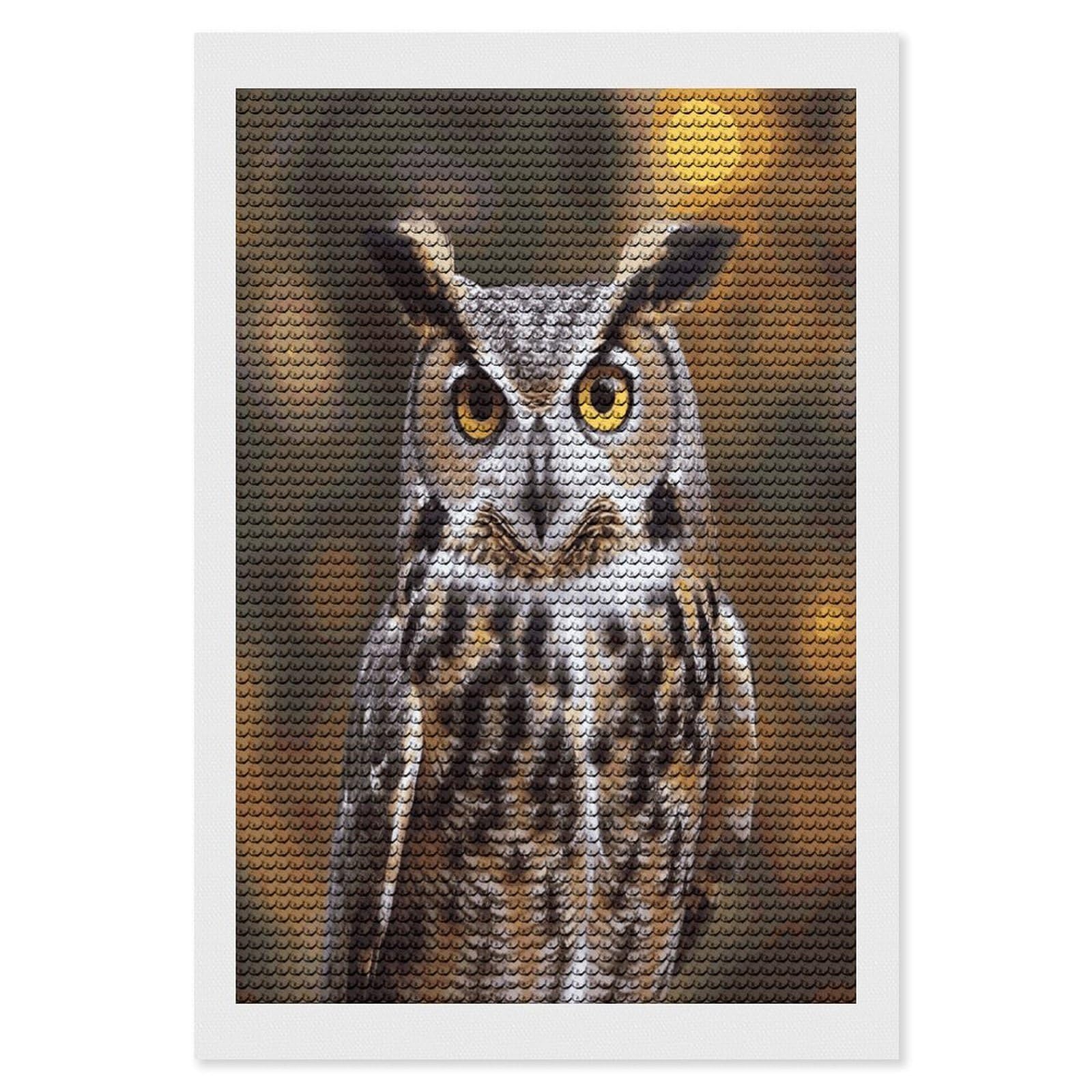 JTREHY Owl Birds Diamond Art Kits Personalized DIY Round Diamond Painting Kits for Beginner Full Drill Diamonds Dots Paintings for Adults Gem Art Crafts Home Decor