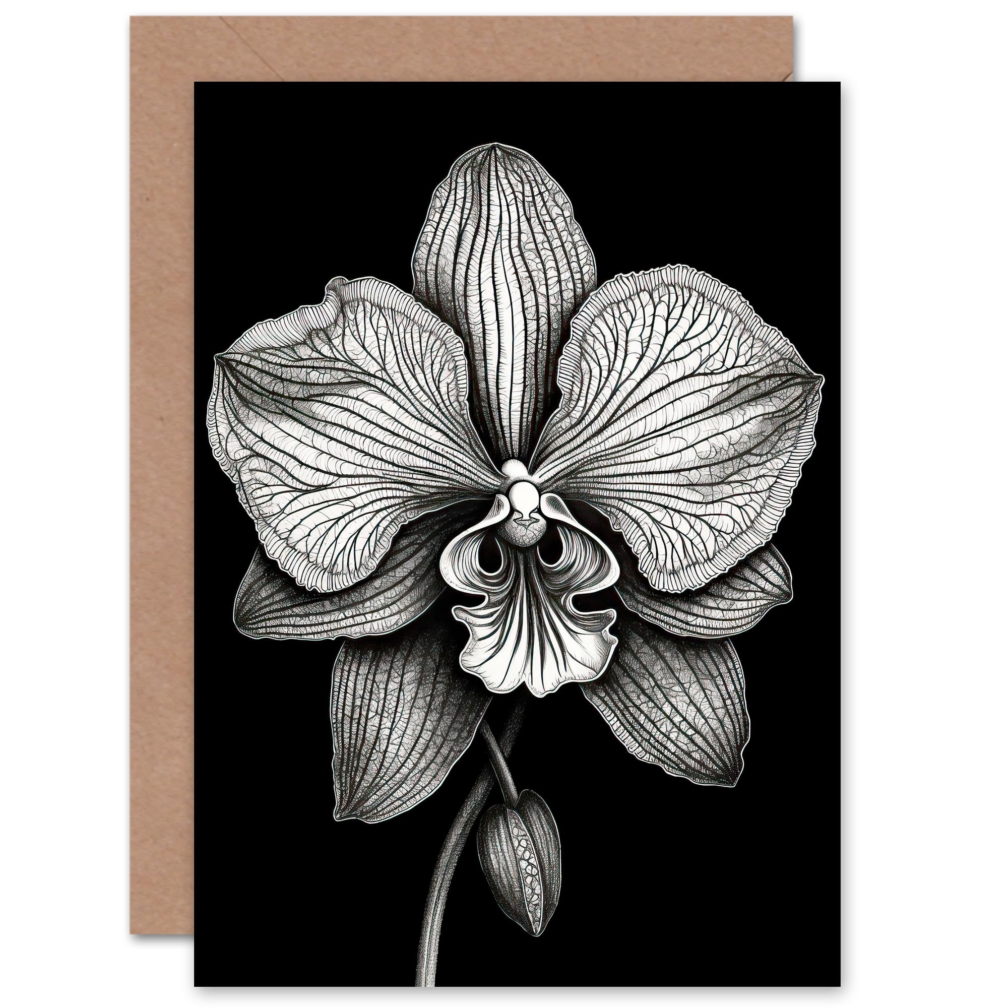 Artery8 Greeting Card - Orchid Flower Petals - Black