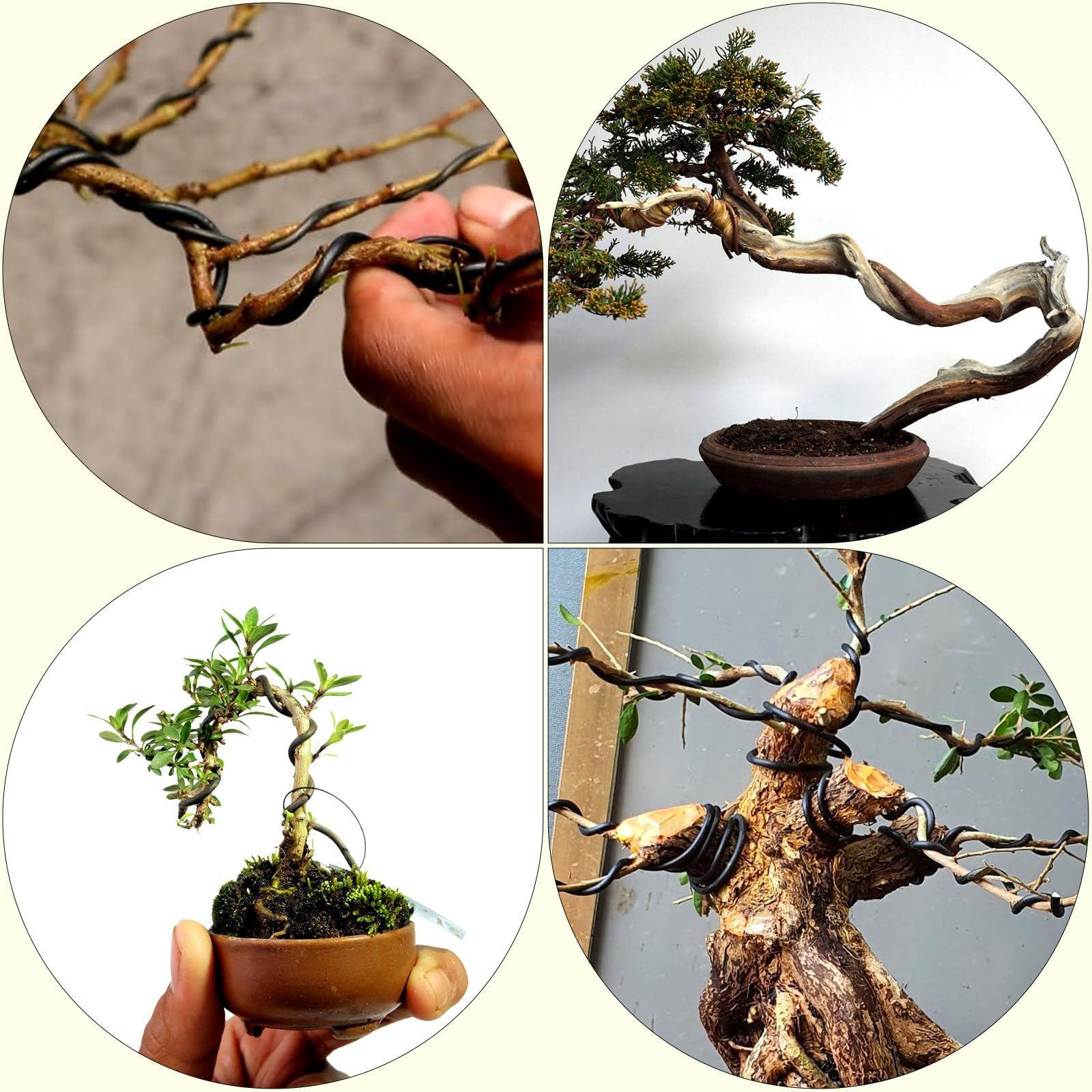 Bonsai Draht 6 Rollen Schwarz 50 m Pflanzendraht Basteldraht | Bonsaidraht Ø1,0 mm/1,5 mm/2,0 mm/2,5 mm/3,0 mm, flexibel und formstabil, für Bonsai, DIY, Skulpturen und Pflanzenpflege