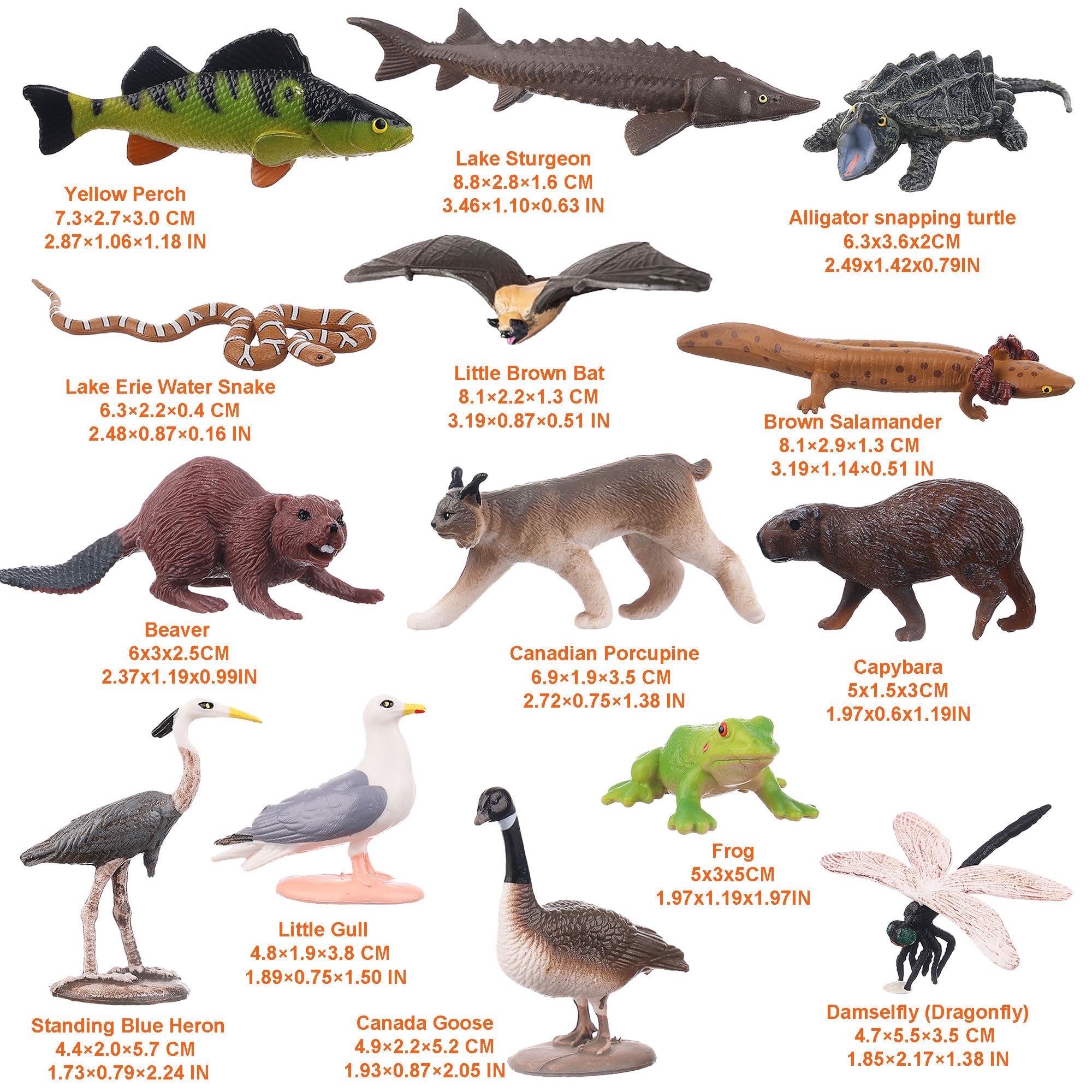 AENIMELY 14PCS Lake Animal Figurines, Realistic Canadian Wildlife Toys for Kids - Image 3