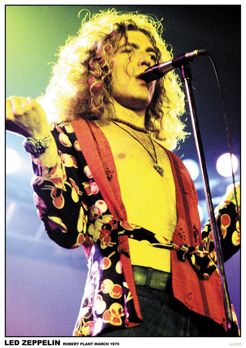Amazon.co.jp: LED ZEPPELINポスター – ロバート・プラント3月