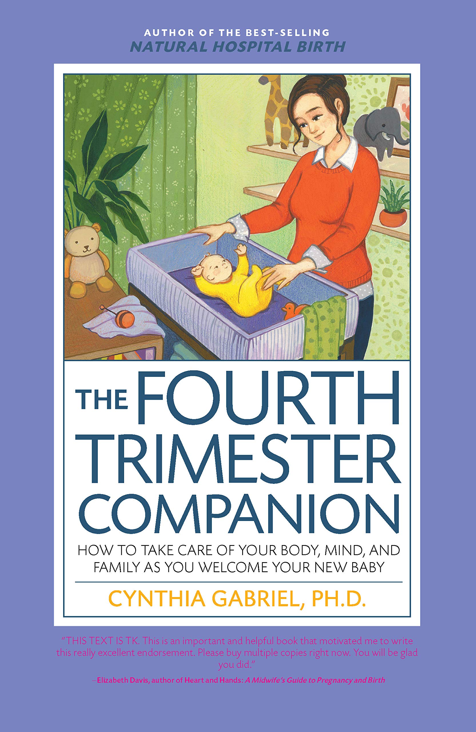 The Fourth Trimester Companion: How to Take Care of Your Body, Mind, and Family as You Welcome Your New Baby