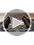 Cowboy Belt Buckle for Men Women Vintage Rodeo Texas Map 1836 Longhorn bull Western Belt Buckles