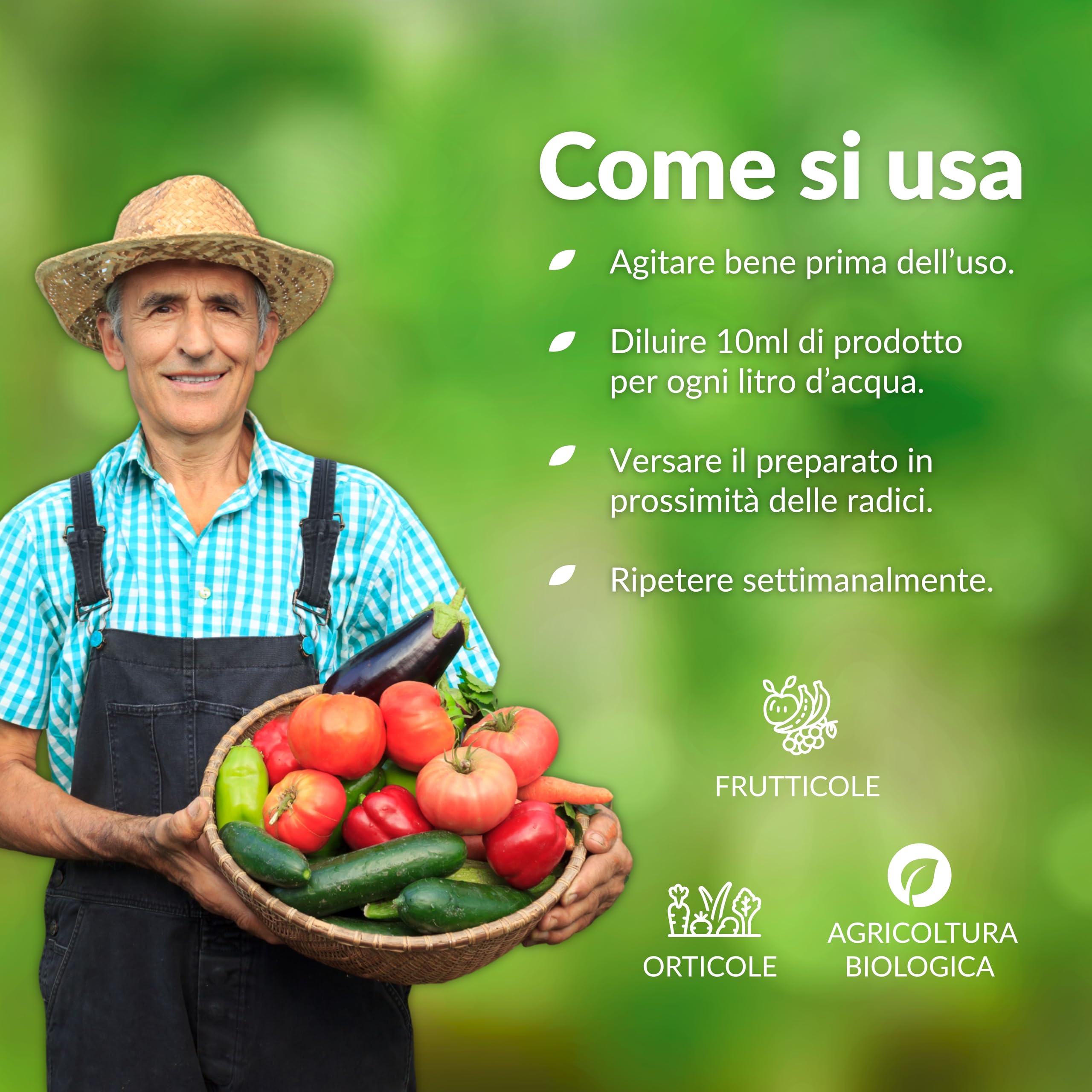 BIOTICA Concime Liquido Biologico per Piante da Frutto e Orto, Fructum 5L