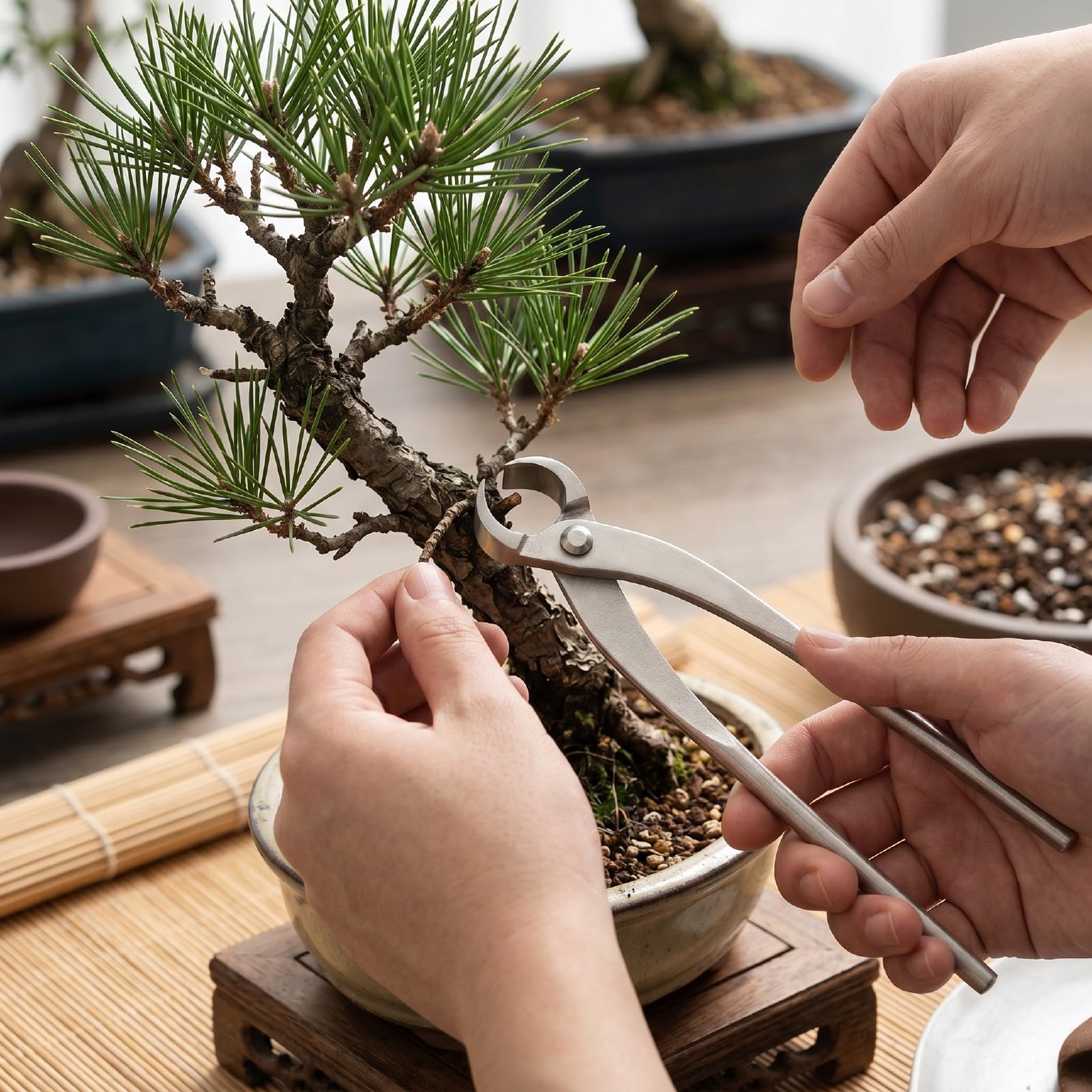 Tagliapiante Bonsai con Impugnatura Comoda, 21cm, per Potatura