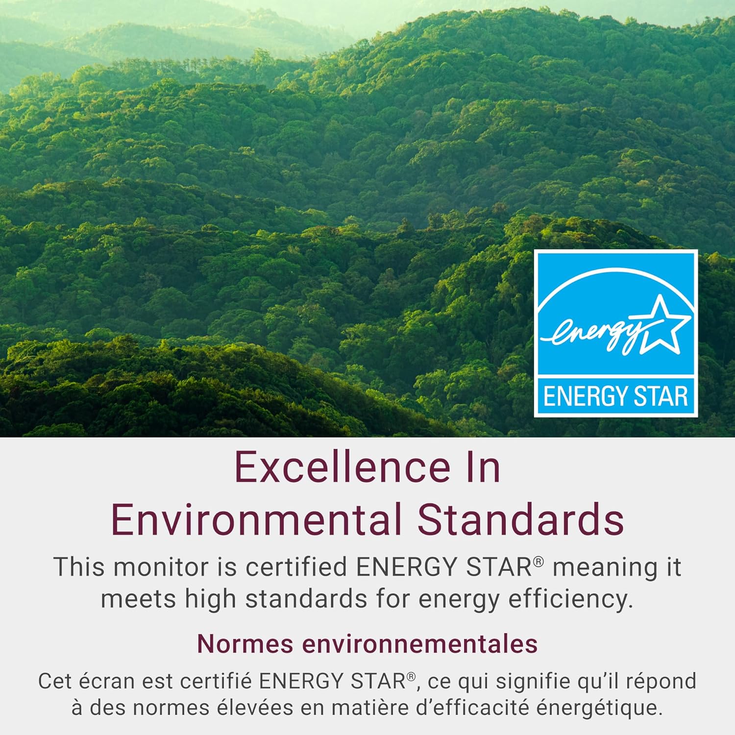 Dell 24 Monitor - SE2425HM - 23.8-inch Full HD (1920x1080) 16:9 100Hz Display, IPS Panel, 16.70 Million Colors, Anti-Glare, 1 HDMI / 1 VGA Port, TÜV Rheinland 3-Star*, Comfortview Plus - Black - Image 6