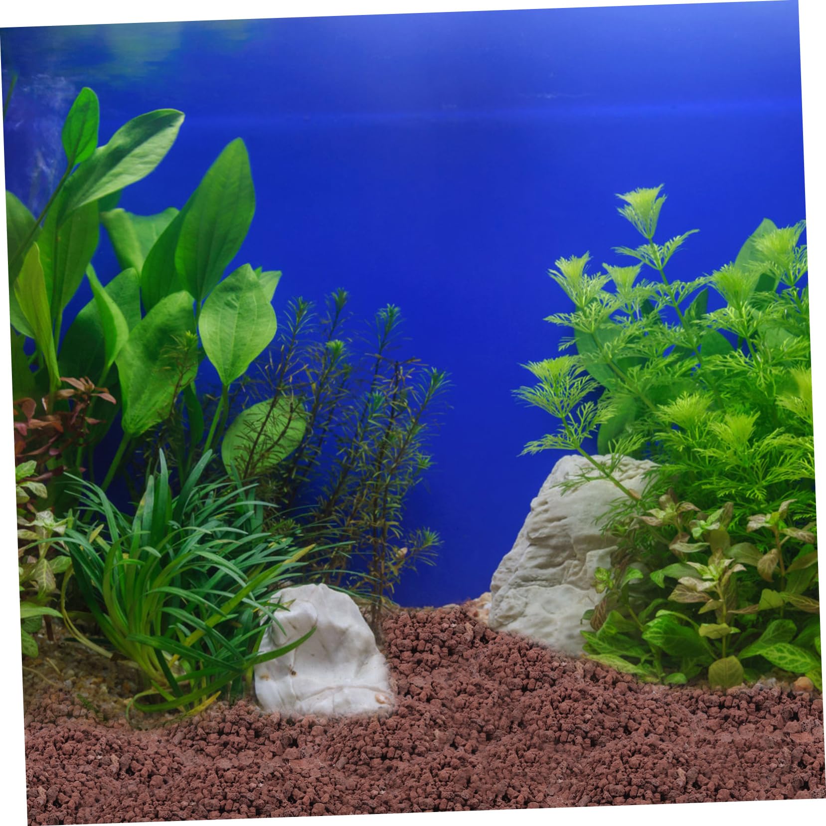 5taschen Beutel Vulkansteine Für Aquarien Und Pflanzen Dekorative Steine Für Fischbecken Blumentöpfe Und Bonsai Naturstein Deko Für Innenräume Und Terrarien
