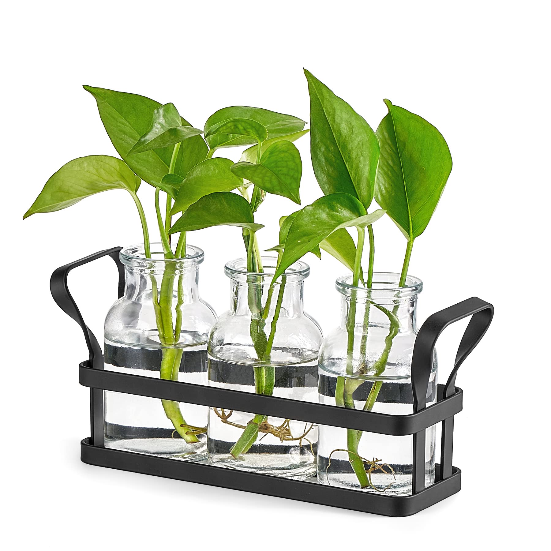 Mkono Plant Terrarium with Metal Stand