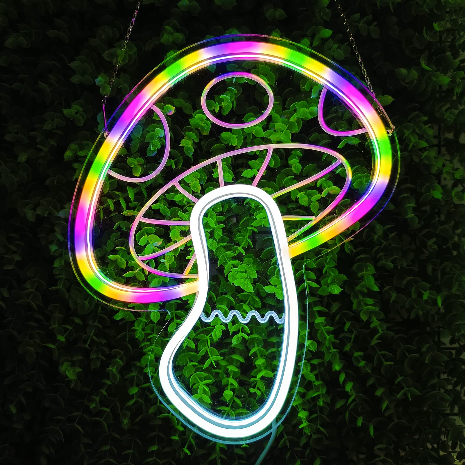 Mushroom Neon Sign With Dimmable Switch, 5V USB Powered Light Up Acrylic Colorful light Mushroom Neon Signs for Wall Decor, Bedroom, Living Room, Party, Wedding Decoration or Birthday, Holiday Gifts