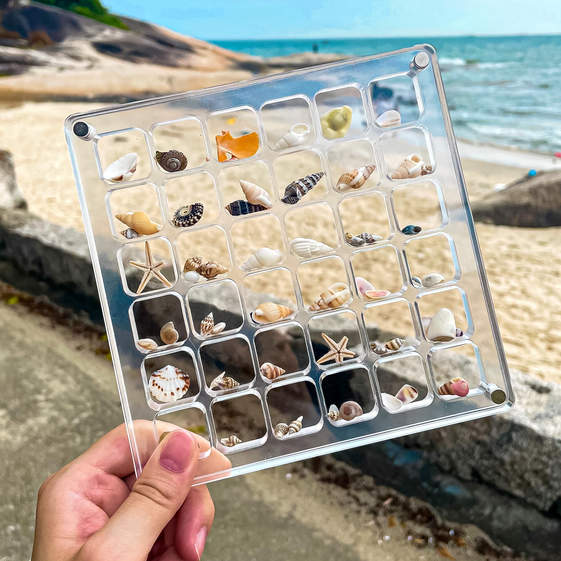 Amazon.com: MUXIUNT Multi-Style Clear Acrylic Magnetic Seashell