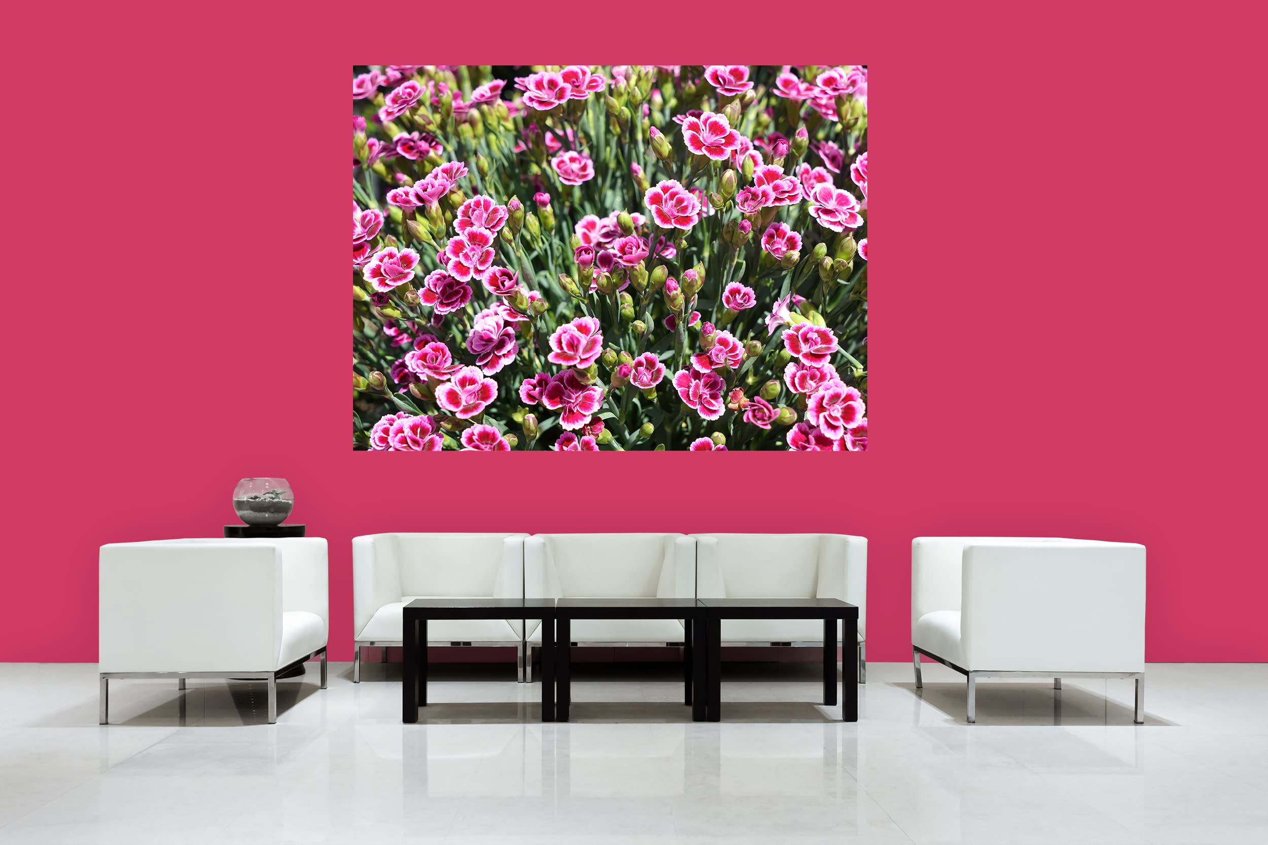 Glücksvilla - Prinzess-Nelke (Leinwand-Bild 2 cm, 40 x 30 cm) | div. Maße - aus DE - Kunstdruck XXL Deko Wandbild quer - Pink Kisses Blumen Blüten Garten Pflanze Natur Wiese Natur