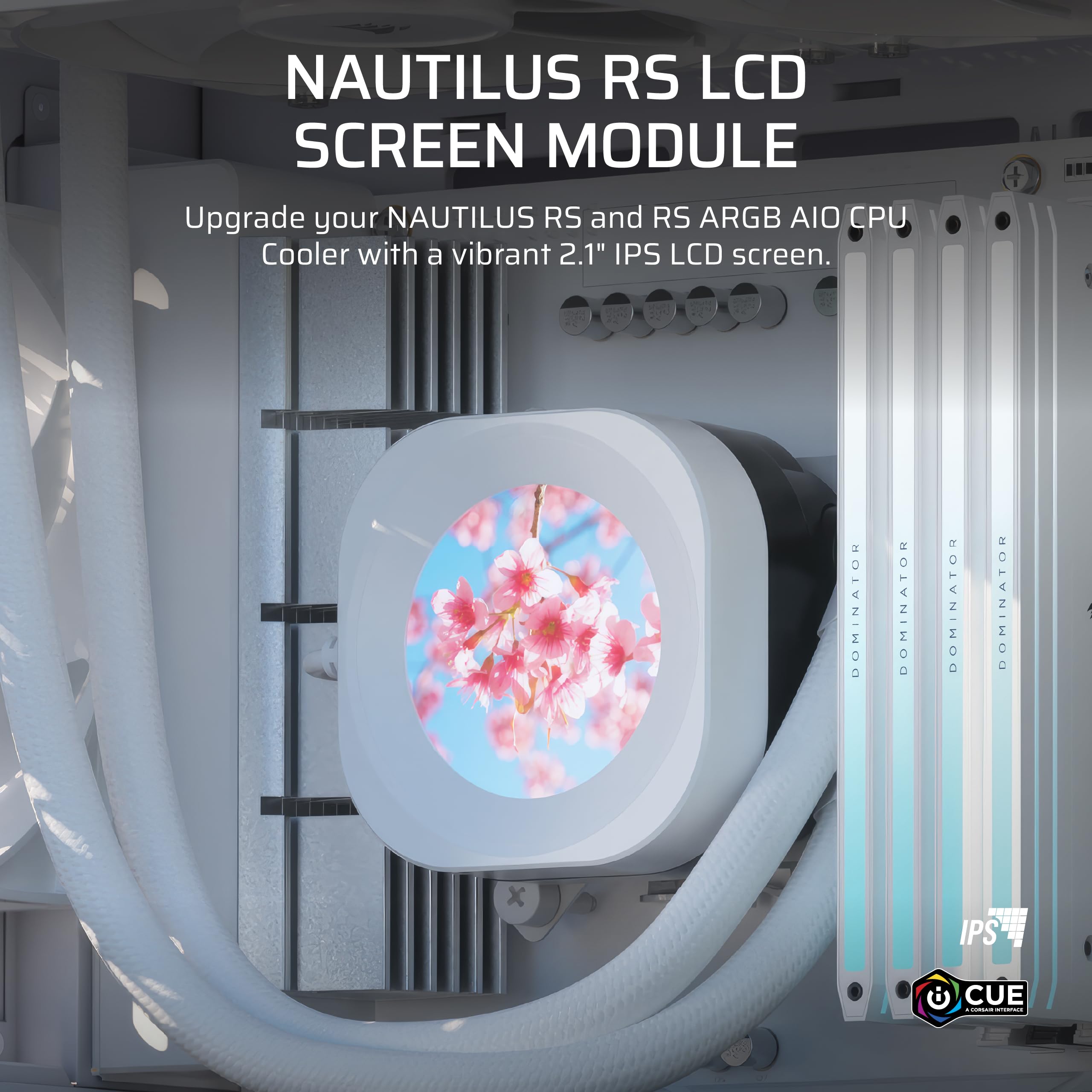 Amazon.com: CORSAIR Nautilus RS LCD Module – for Nautilus RS and