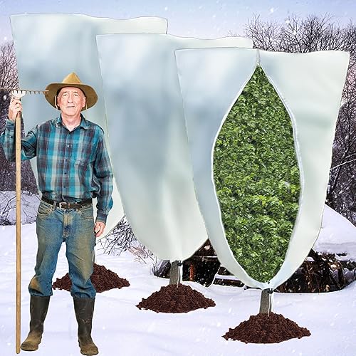 HzNzYHD 3 Paquete disponible en Yaxa Peru