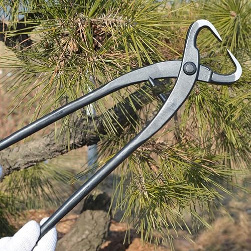 Miniatura 4 de Fdit Cortador de rama, cortador profesional del bonsái los 27cm10.63in incisivo para el jardín