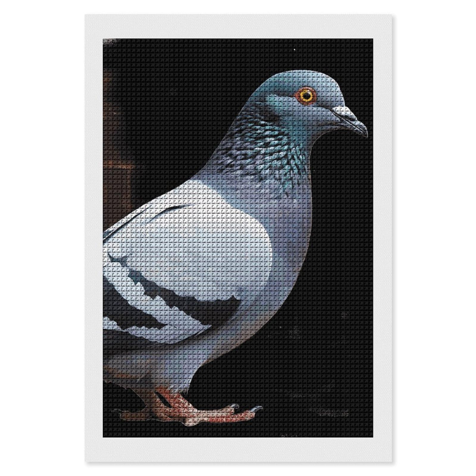 FodPand Pigeon 5D Diamond Painting Kits for Adults Beginners Full Drill Square Diamond Dots Pictures Gem Art Supplies for Home Wall Room Decoration DIY Craft Set Gift 8x12