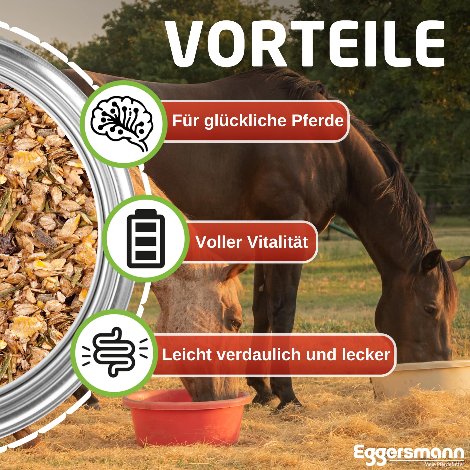 Eggersmann EMH Senior Sac de céréales pour Chevaux âgés - pour la prévention des pertes de Substance avec sélénium - Nourriture Naturelle pour Chevaux