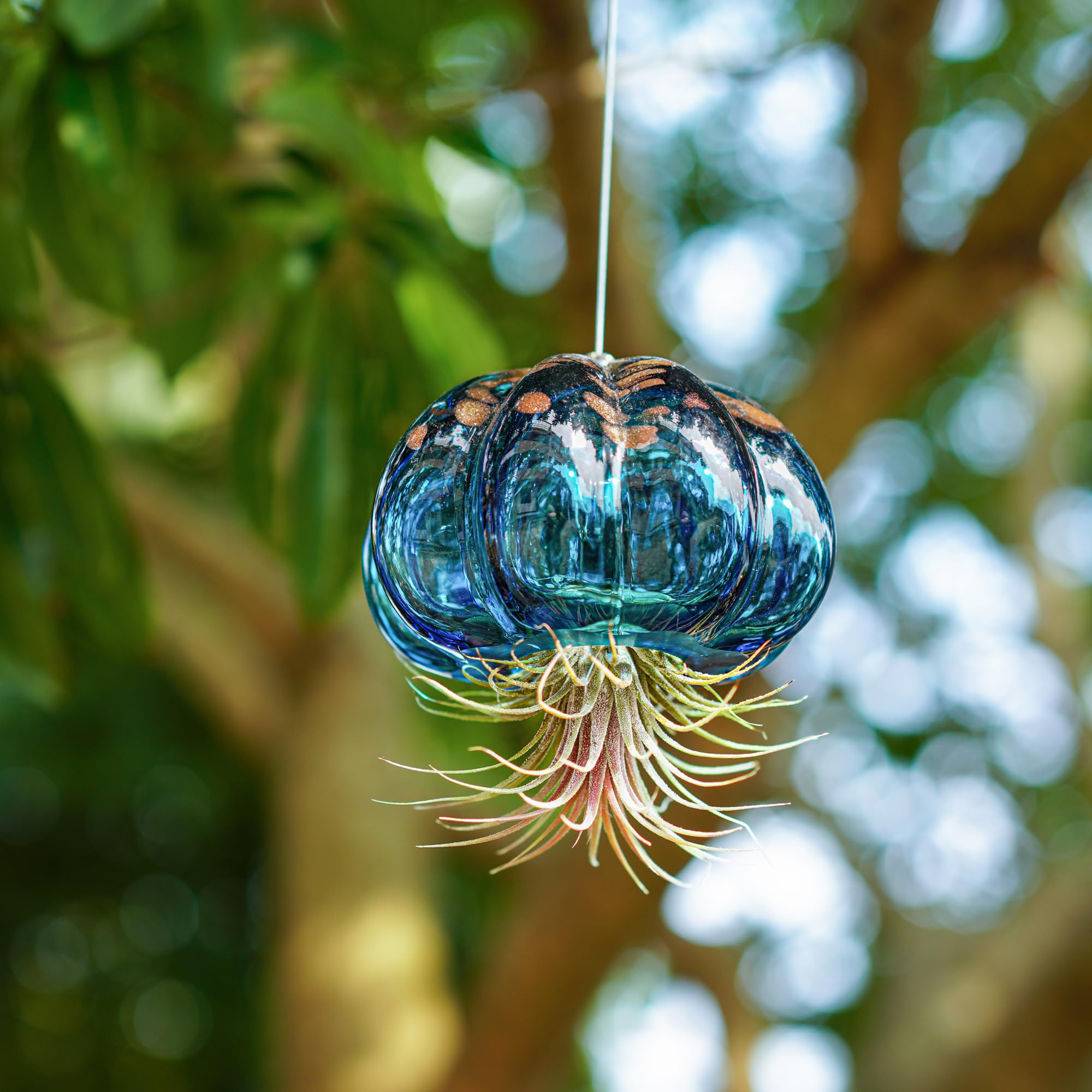 Vaso per piante aeree da appendere a forma di medusa Soffiato in vetro, dolce medusa blu, regalo per camera delle donne, giardino, decorazione per feste di nozze