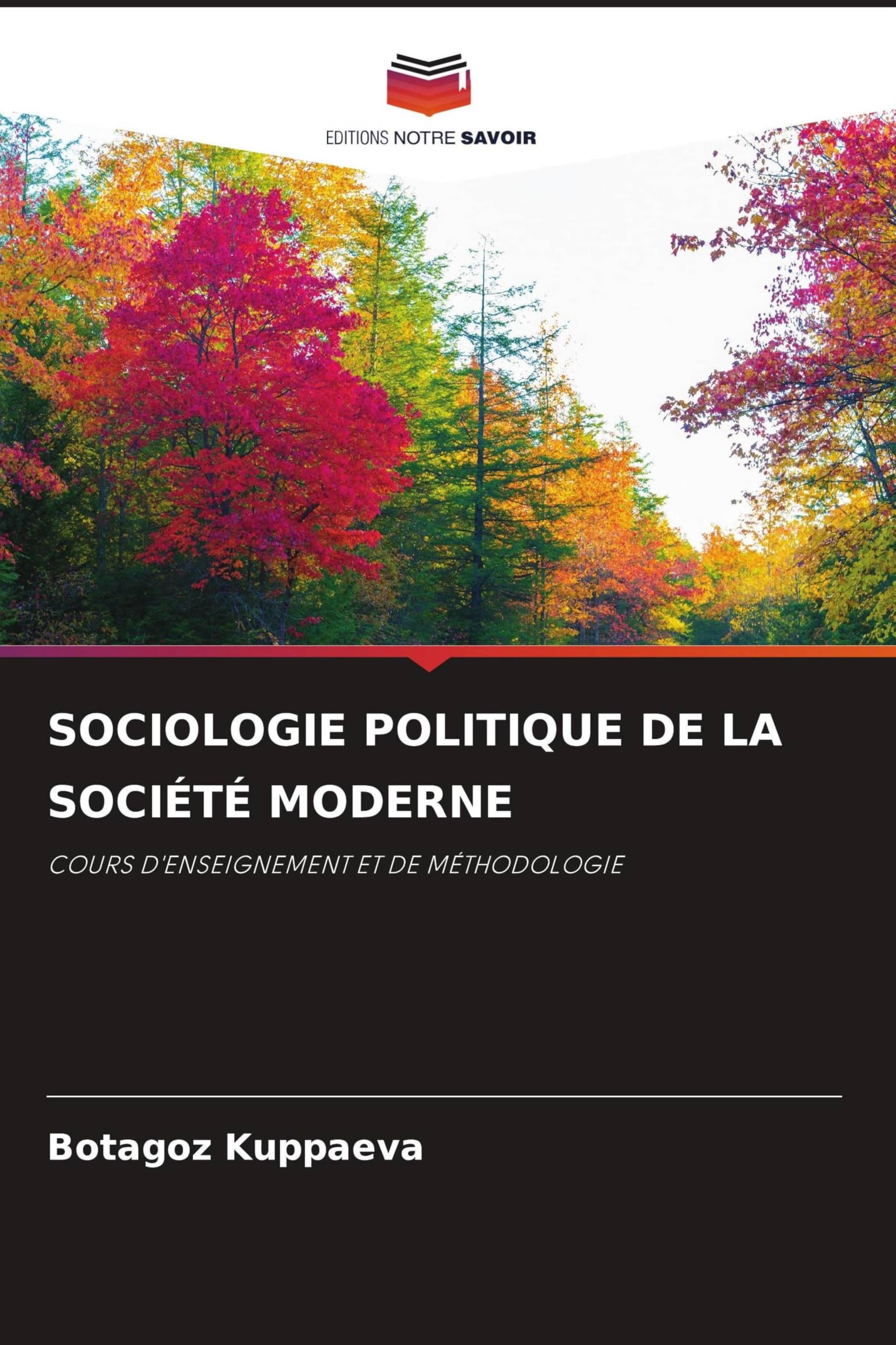 Sociologie Politique de la Société Moderne: COURS D'ENSEIGNEMENT ET DE MÉTHODOLOGIE