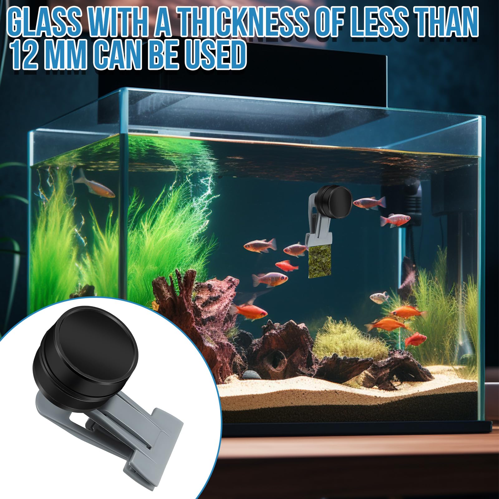 Mangiatoia per pesci rossi, accessori per acquari marini, magnete per alghe, mangiatoia per alghe marine, clip magnetiche, anello di alimentazione per acquari adatto per pesce animali acquatici