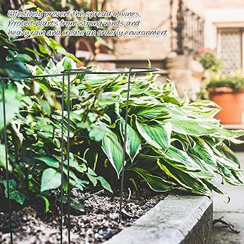 Willing plant 台座 3点セット【hope】 Willing plant 台座 3点セット【hope様専用】 - メルカリ