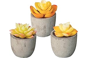 Grey and Yellow Artificial Succulent Plants