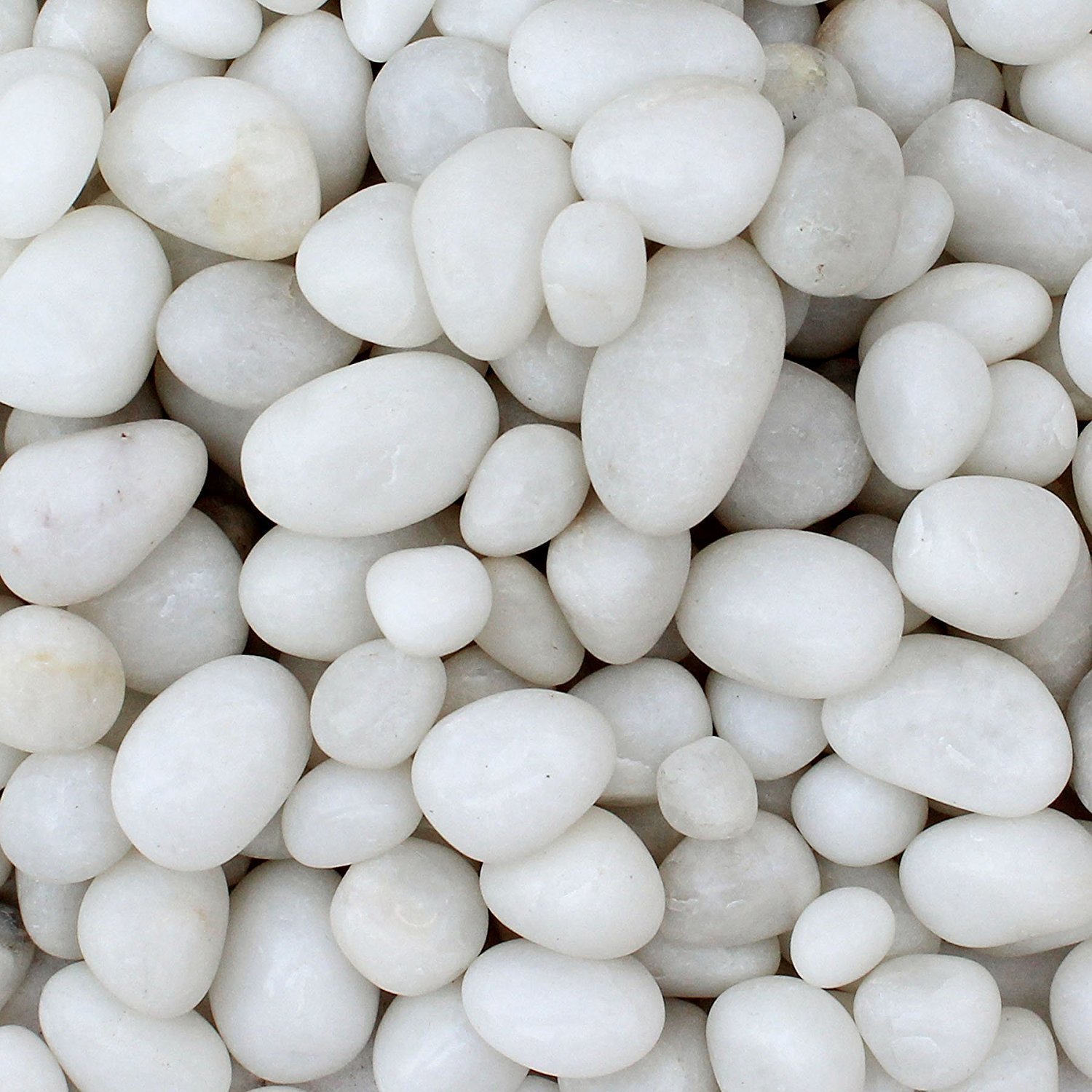 Maalavya Pebbles Glossy Home Decorative Vase Fillers White Stone, 1 KG (B075N69SXW) Amazon Price History, Amazon Price Tracker