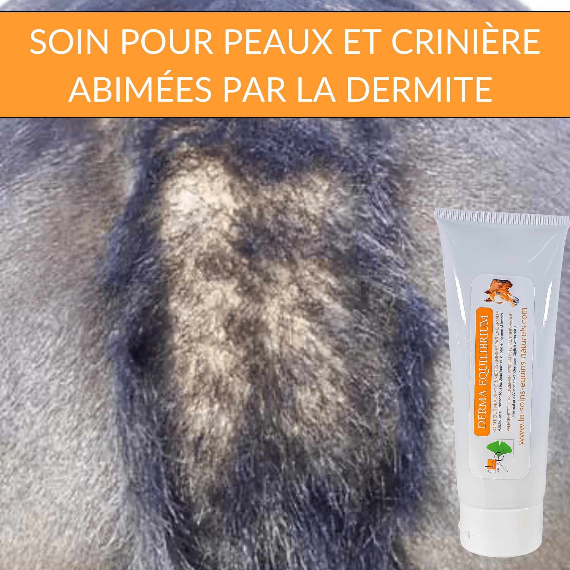 Derma Equilibrium - 500 mL - Soin Naturel de la dermite chez Le Cheval