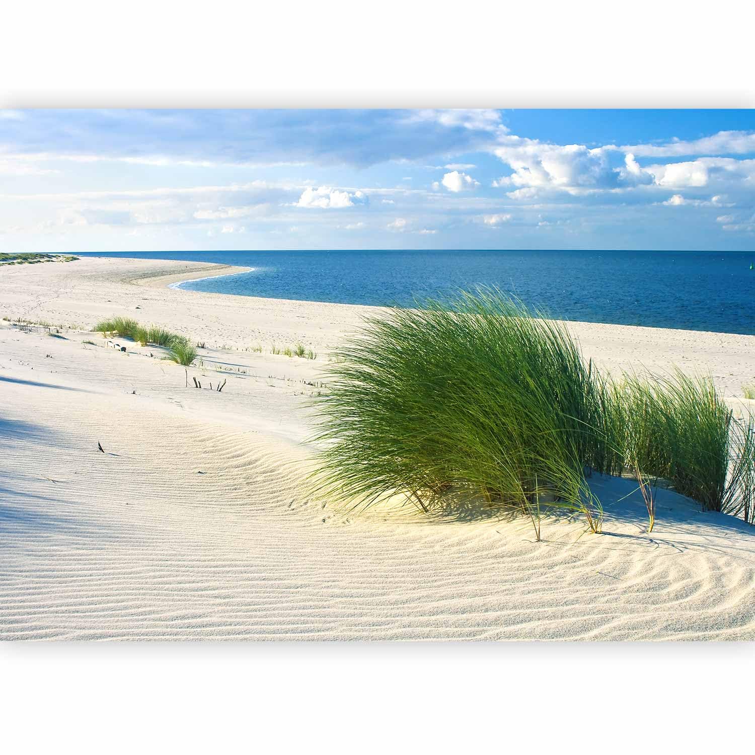 murando Photo Wallpaper Sea and Beach 350x256 cm / 137.8" x 96.5" Non-Woven Premium Art Print Fleece Wall Mural Decoration Poster Picture Design Modern - Grass Green Sand Landscape c-B-0265-a-a — image 1