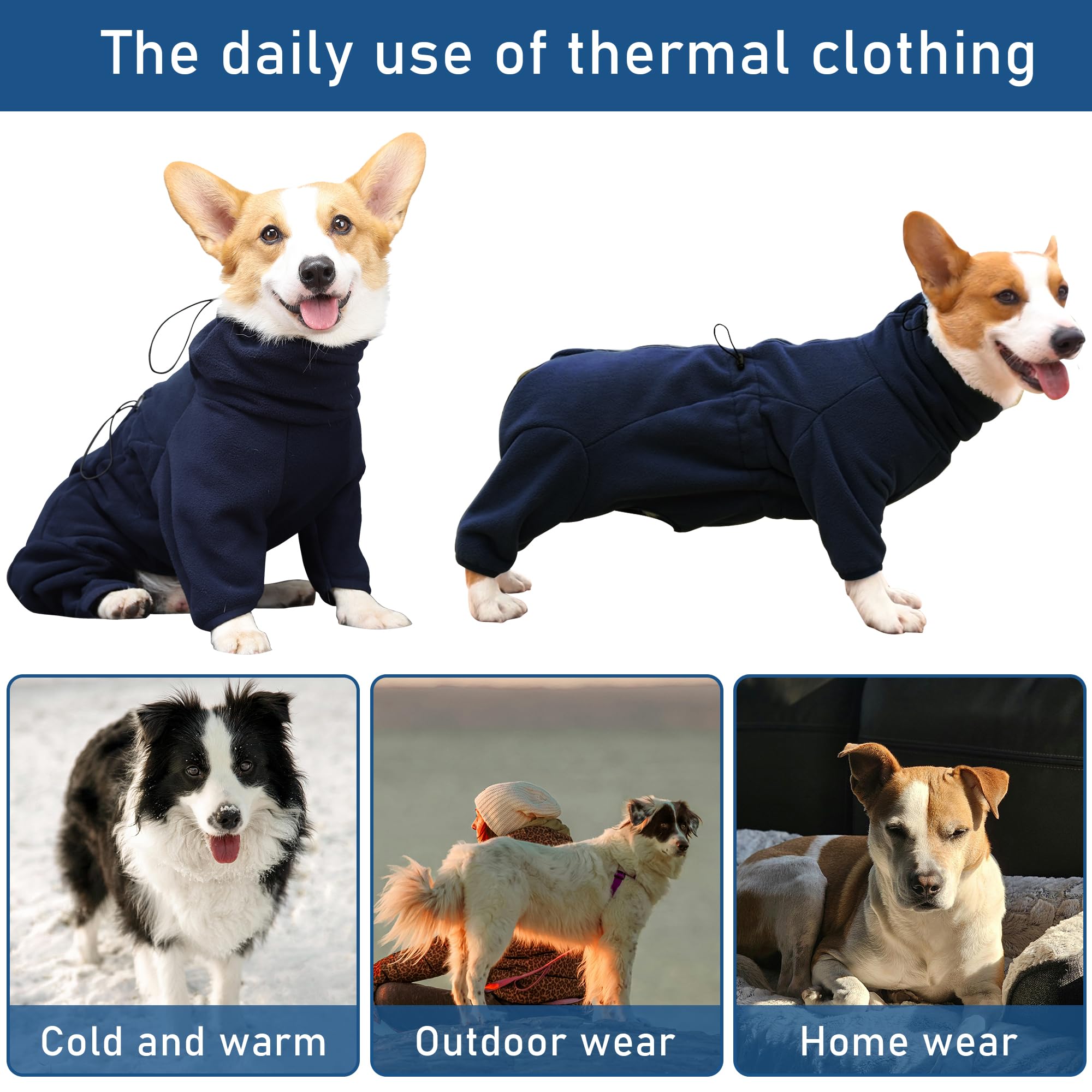 View 6
