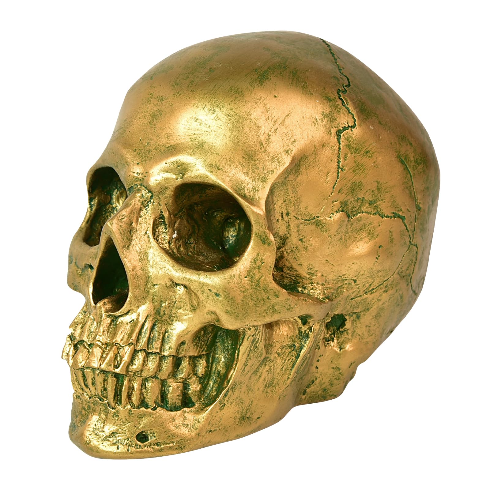 SEKKVY Resin Human Skull Statues Halloween Decor Skeleton Outdoor Human Skull Model Golden Home Decoration(Non-Removable)